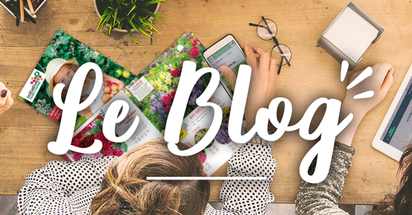 Le Blog d'Initiatives Fleurs & Nature